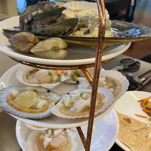 감성조개 사진