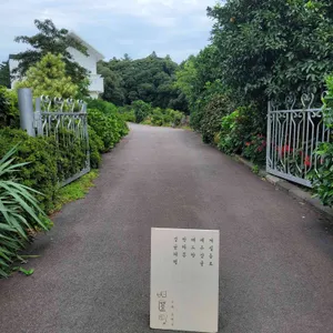 감따남 리뷰 사진