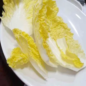 양촌리 청보리 한우 사진