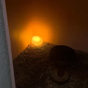 트래버틴 리뷰 사진