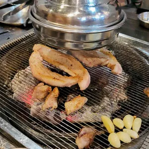 제주퐁낭 사진