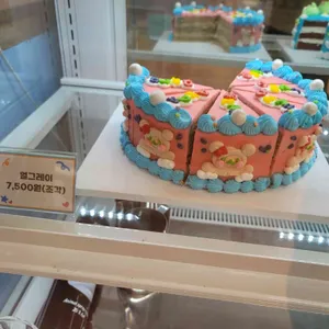 해피베어데이 사진