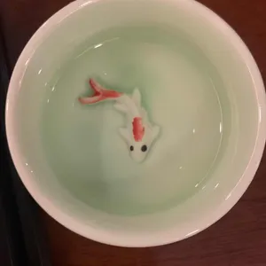 키라키라윤 사진