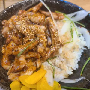 홍대개미 사진