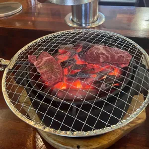카타 사진