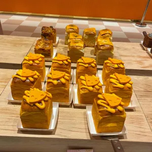 비비하우스 리뷰 사진