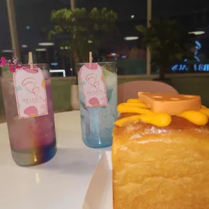 비비하우스 리뷰 사진