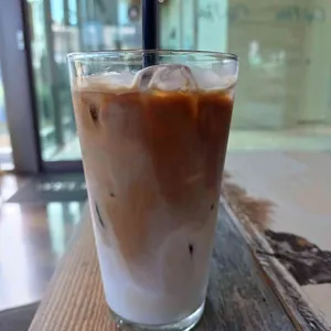 카페나리 사진