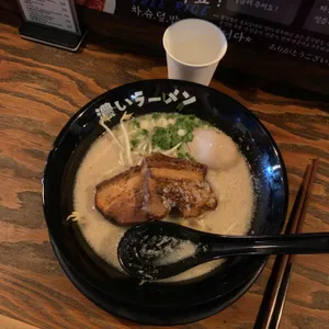 코이라멘 사진