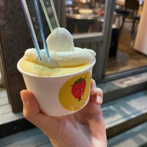 젤라토니 사진