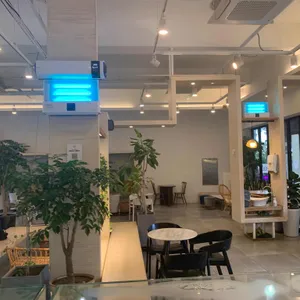 볕이드는곳 벧디 리뷰 사진