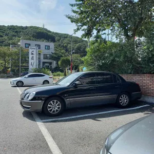 광교산도토리국수 리뷰 사진