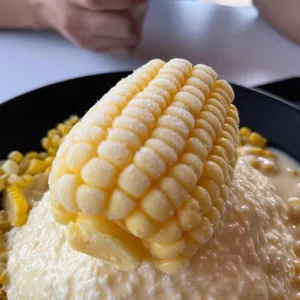 터틀락 사진