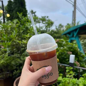 꼬라지오 사진