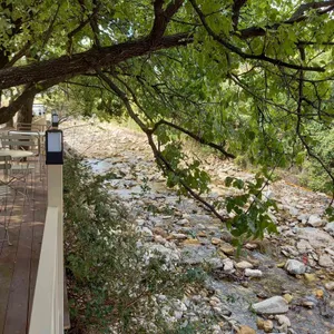 카페 헤일로 리뷰 사진