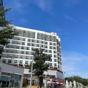 파이홀릭 대표 사진