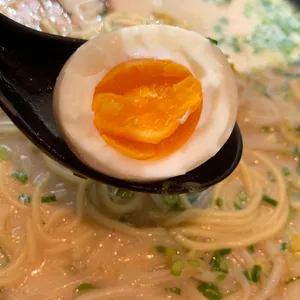 멘야신 사진