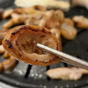불막열삼 사진