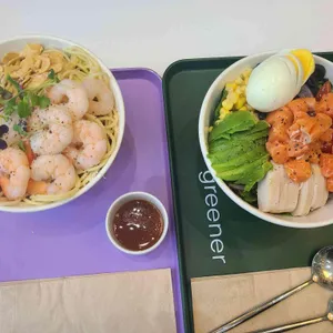 그리너 사진