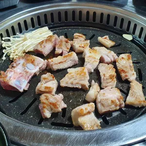 시골돼지 사진