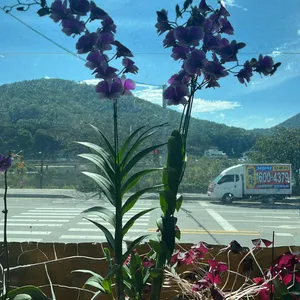 통나무집 리뷰 사진