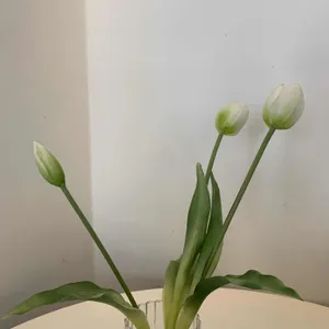 카페머뭄 리뷰 사진