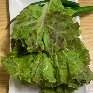 맛집 사진