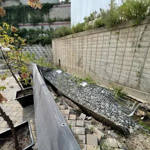 카페 슈샤 리뷰 사진