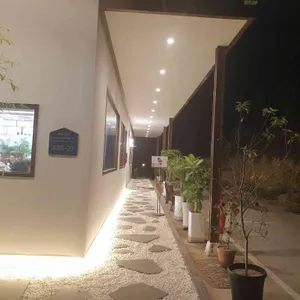 맑은이소만두 리뷰 사진