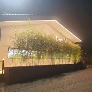 맑은이소만두 리뷰 사진