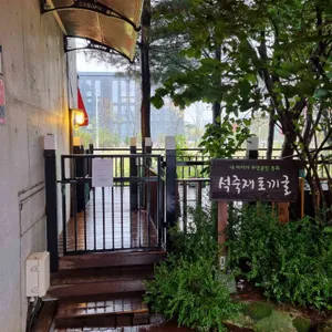 석죽재물고기나무 리뷰 사진
