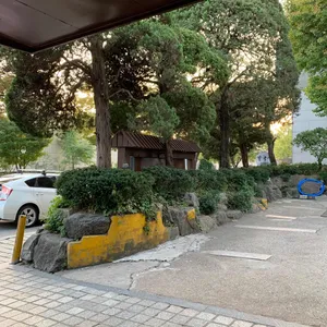 황생가칼국수 광화문점 리뷰 사진
