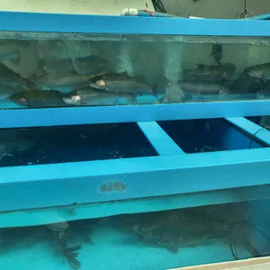 돌섬횟집 리뷰 사진