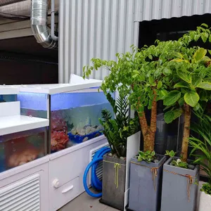 하와이조개 리뷰 사진