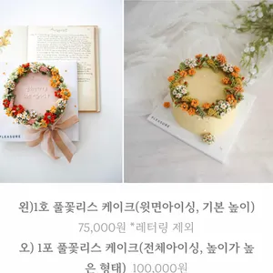 플레져 리뷰 사진