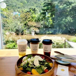 수피아 사진