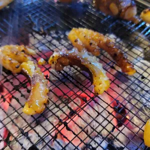 삼바리 사진