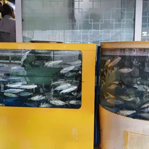 구룡포 회집 리뷰 사진