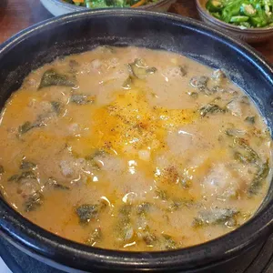 본초강목 사진