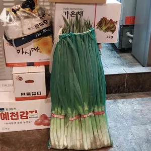 대접 리뷰 사진