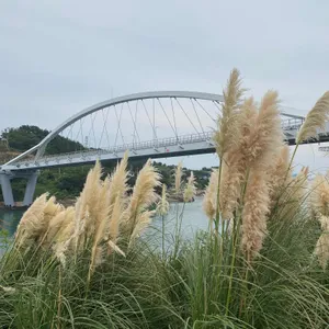 마애 사진