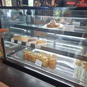 바위와 소나무 사진
