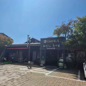 바위와 소나무 리뷰 사진