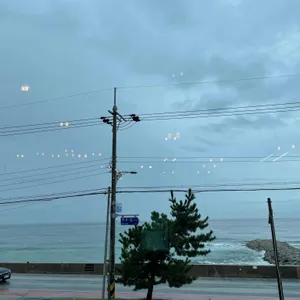 커피방 리뷰 사진