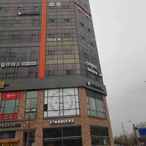 스타벅스 리뷰 사진