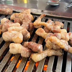 고바우 사진