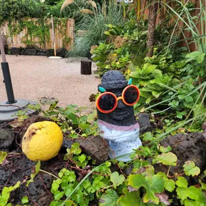 카페리 구좌 카페 평대리해변 세화 소품 리뷰 사진