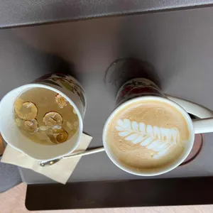 아라비카 사진