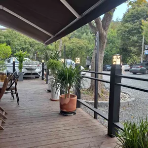 피아나 리뷰 사진