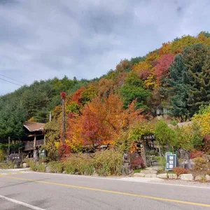 감자네 리뷰 사진